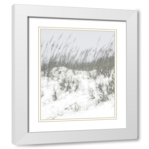 Lush Dunes V White Modern Wood Framed Art Print with Double Matting by Chandler, Sharon