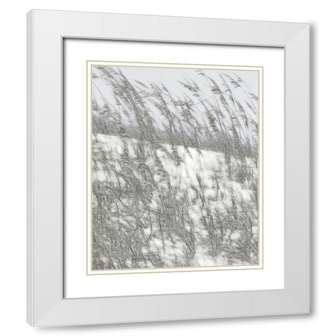 Lush Dunes VI White Modern Wood Framed Art Print with Double Matting by Chandler, Sharon