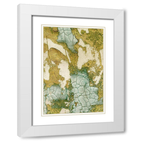 Biomes I White Modern Wood Framed Art Print with Double Matting by Lam, Vanna