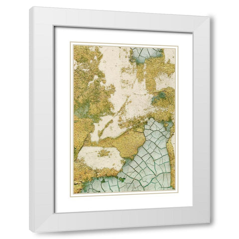 Biomes II White Modern Wood Framed Art Print with Double Matting by Lam, Vanna