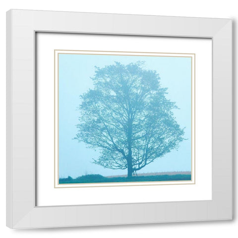Spring Tree White Modern Wood Framed Art Print with Double Matting by McLoughlin, James