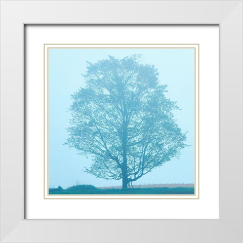 Spring Tree White Modern Wood Framed Art Print with Double Matting by McLoughlin, James