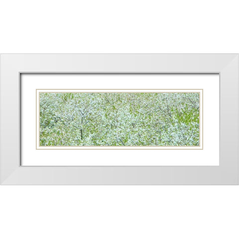 Tree Panorama I White Modern Wood Framed Art Print with Double Matting by McLoughlin, James