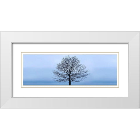 Tree Panorama VI White Modern Wood Framed Art Print with Double Matting by McLoughlin, James
