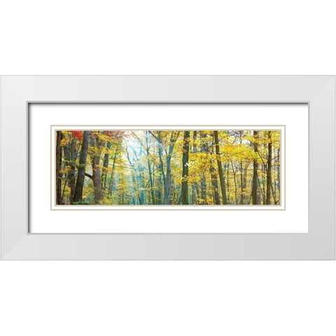 Tree Panorama VIII White Modern Wood Framed Art Print with Double Matting by McLoughlin, James
