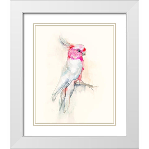 Opera Cockatoo I White Modern Wood Framed Art Print with Double Matting by Goldberger, Jennifer