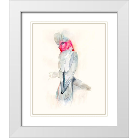 Opera Cockatoo II White Modern Wood Framed Art Print with Double Matting by Goldberger, Jennifer