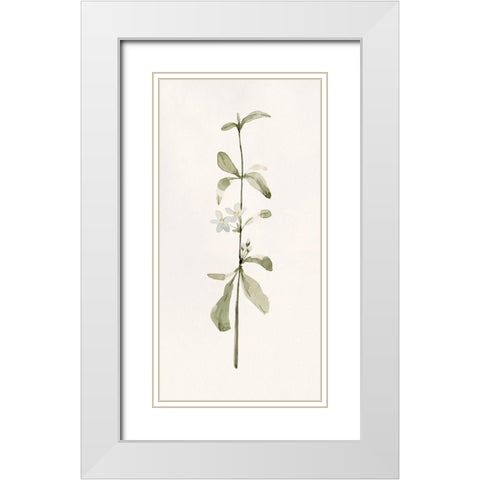 Early Blooms I White Modern Wood Framed Art Print with Double Matting by Caroline, Emma