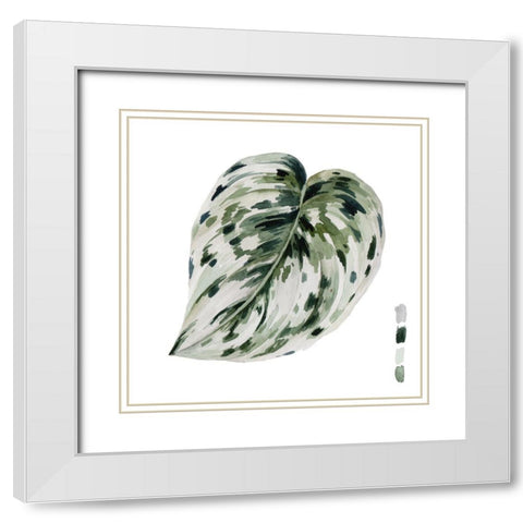 Scindapsus I White Modern Wood Framed Art Print with Double Matting by Wang, Melissa