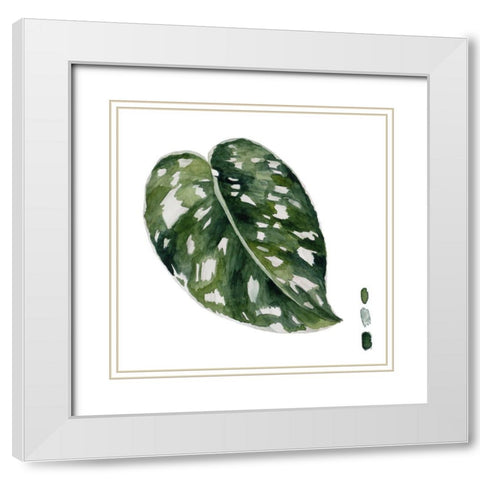 Scindapsus II White Modern Wood Framed Art Print with Double Matting by Wang, Melissa