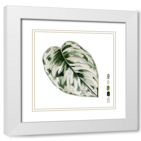 Scindapsus IV White Modern Wood Framed Art Print with Double Matting by Wang, Melissa