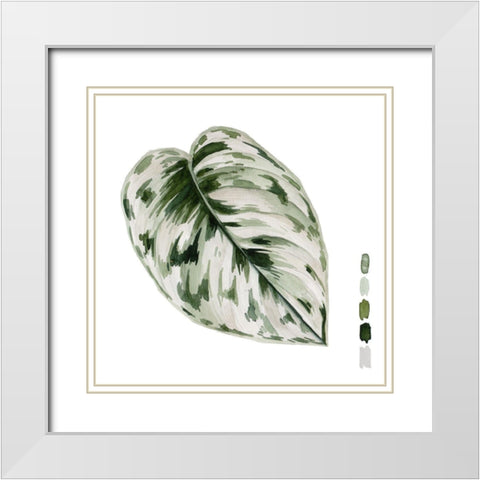 Scindapsus IV White Modern Wood Framed Art Print with Double Matting by Wang, Melissa