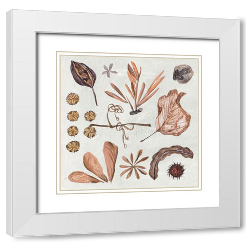 Small Things VI White Modern Wood Framed Art Print with Double Matting by Wang, Melissa