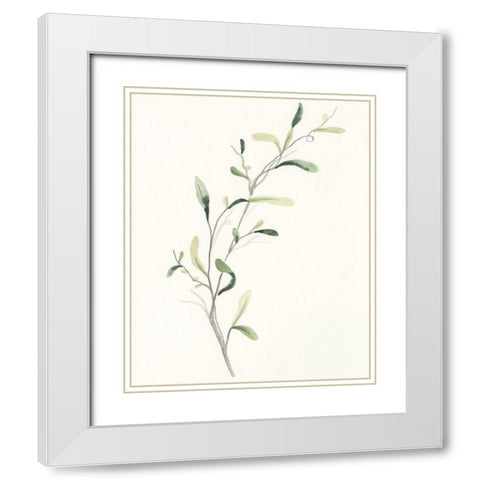Spindle Sprig IV White Modern Wood Framed Art Print with Double Matting by Vess, June Erica