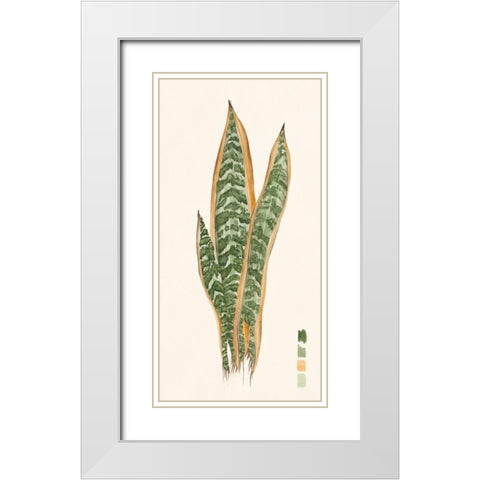 Snake Plants I White Modern Wood Framed Art Print with Double Matting by Wang, Melissa