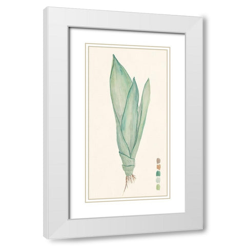 Snake Plants II White Modern Wood Framed Art Print with Double Matting by Wang, Melissa