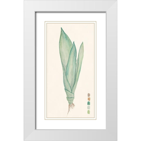 Snake Plants II White Modern Wood Framed Art Print with Double Matting by Wang, Melissa