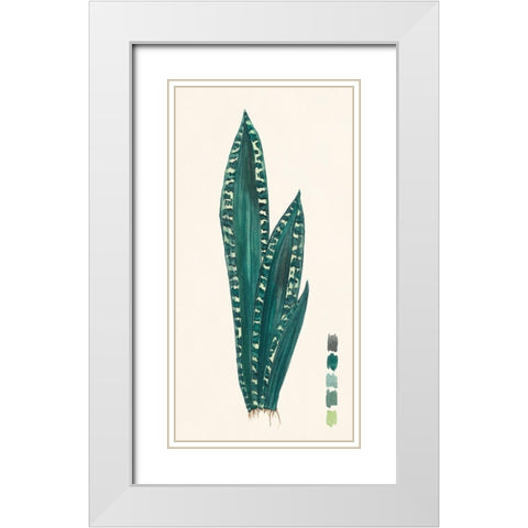 Snake Plants III White Modern Wood Framed Art Print with Double Matting by Wang, Melissa
