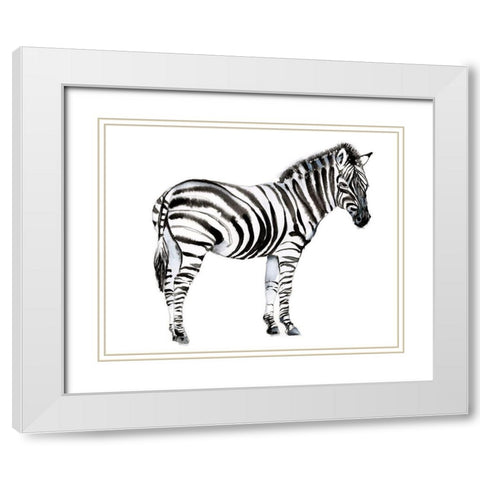 Standing Zebra I White Modern Wood Framed Art Print with Double Matting by Goldberger, Jennifer