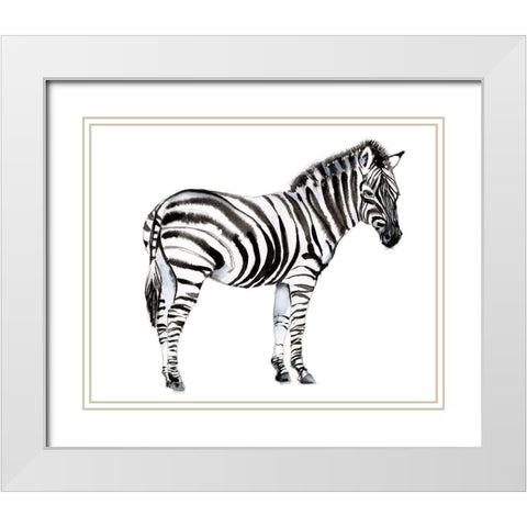 Standing Zebra I White Modern Wood Framed Art Print with Double Matting by Goldberger, Jennifer