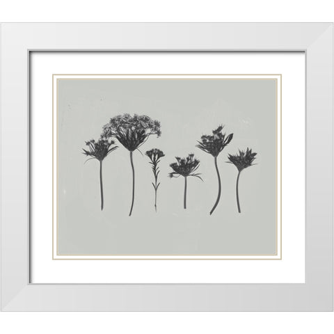 Wildflower Memory I White Modern Wood Framed Art Print with Double Matting by Goldberger, Jennifer