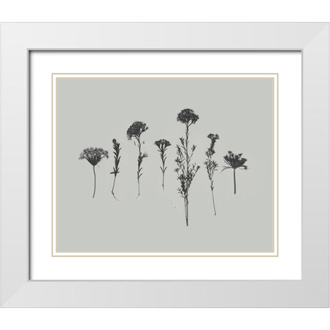 Wildflower Memory II White Modern Wood Framed Art Print with Double Matting by Goldberger, Jennifer