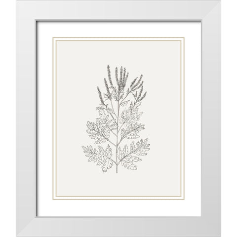 Wild Foliage Sketch II White Modern Wood Framed Art Print with Double Matting by Borges, Victoria