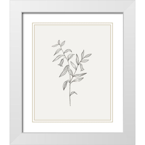 Wild Foliage Sketch IV White Modern Wood Framed Art Print with Double Matting by Borges, Victoria