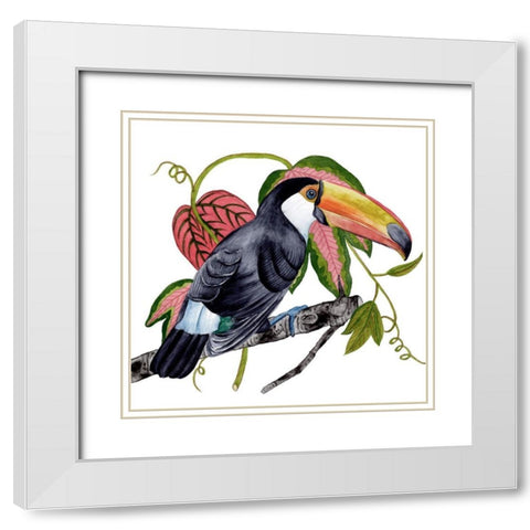 Toco Toucan II White Modern Wood Framed Art Print with Double Matting by Wang, Melissa