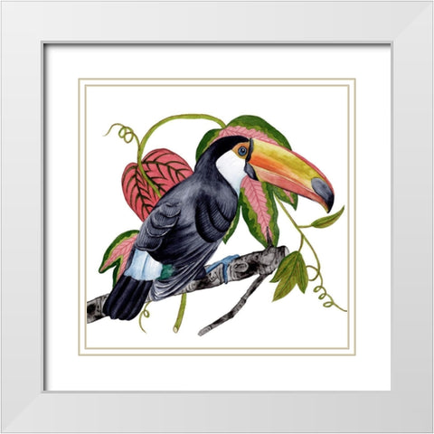 Toco Toucan II White Modern Wood Framed Art Print with Double Matting by Wang, Melissa