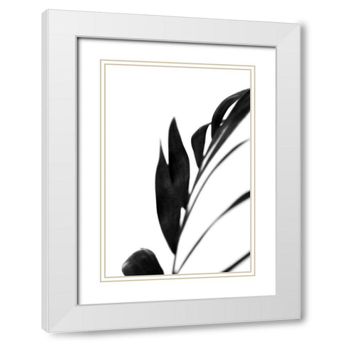 Black Palms III White Modern Wood Framed Art Print with Double Matting by Stramel, Renee W.