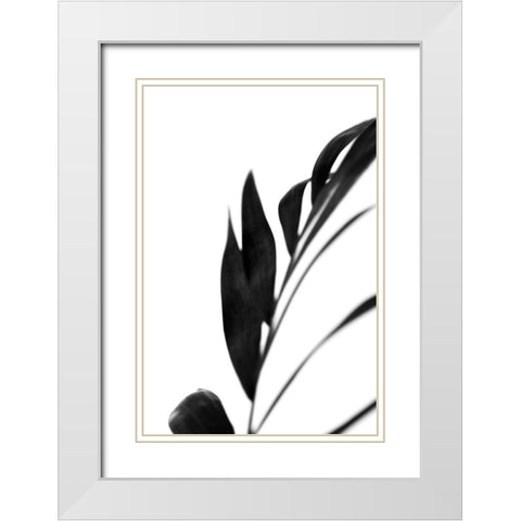 Black Palms III White Modern Wood Framed Art Print with Double Matting by Stramel, Renee W.