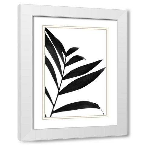 Black Palms IV White Modern Wood Framed Art Print with Double Matting by Stramel, Renee W.