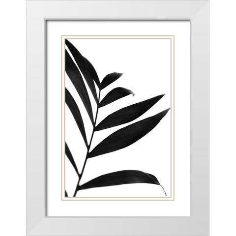 Black Palms IV White Modern Wood Framed Art Print with Double Matting by Stramel, Renee W.