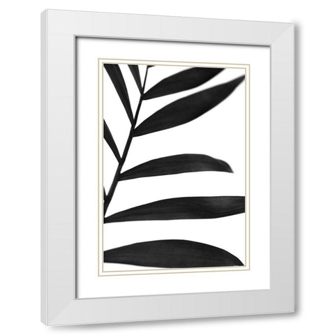 Black Palms V White Modern Wood Framed Art Print with Double Matting by Stramel, Renee W.