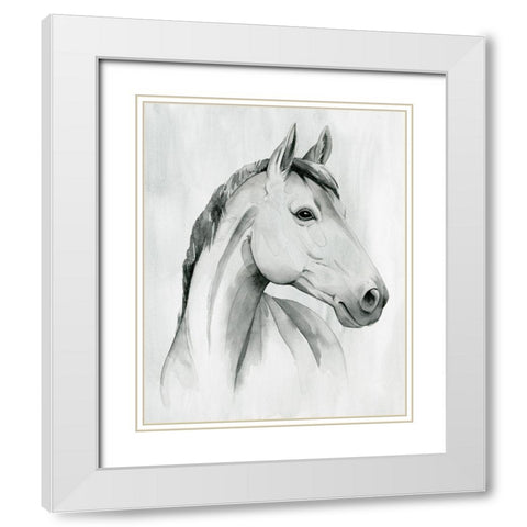 Silver Gelding I White Modern Wood Framed Art Print with Double Matting by Popp, Grace
