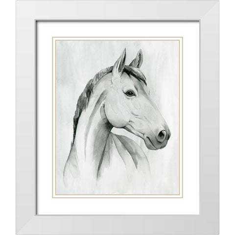Silver Gelding I White Modern Wood Framed Art Print with Double Matting by Popp, Grace