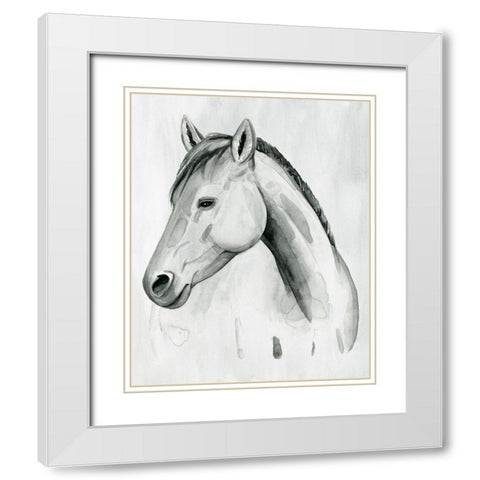 Silver Gelding II White Modern Wood Framed Art Print with Double Matting by Popp, Grace