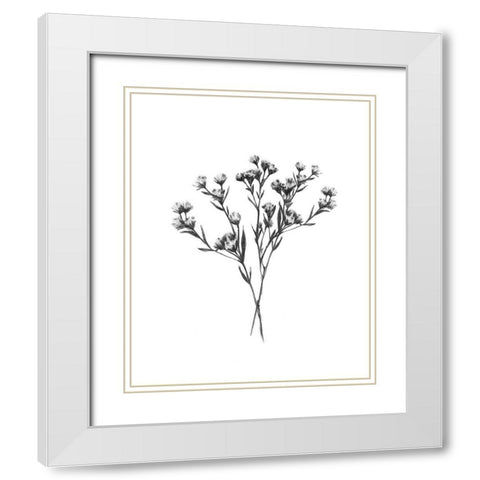 Wild Thistle Bundle II White Modern Wood Framed Art Print with Double Matting by Scarvey, Emma