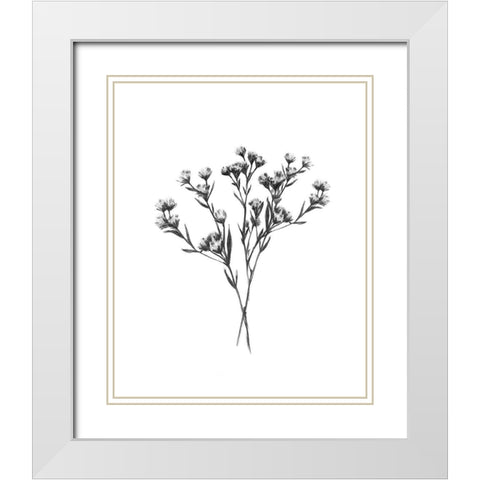 Wild Thistle Bundle II White Modern Wood Framed Art Print with Double Matting by Scarvey, Emma