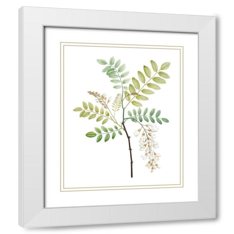 Soft Green Botanical I White Modern Wood Framed Art Print with Double Matting by Vision Studio