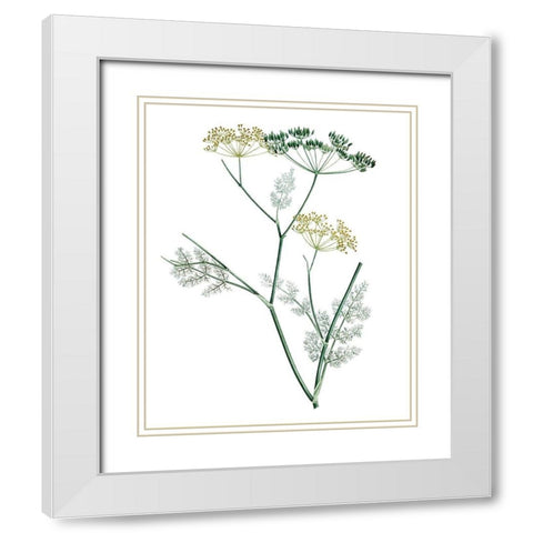 Soft Green Botanical IV White Modern Wood Framed Art Print with Double Matting by Vision Studio