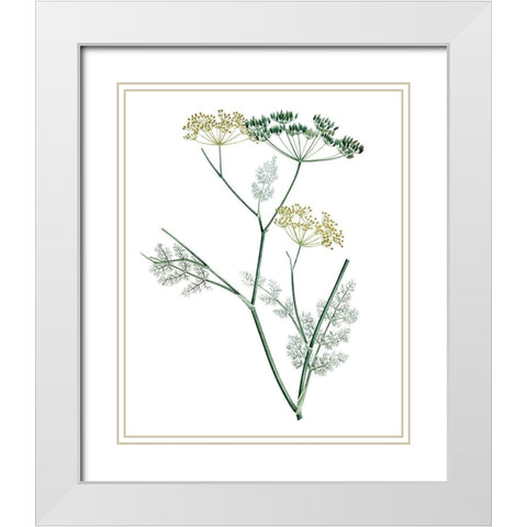 Soft Green Botanical IV White Modern Wood Framed Art Print with Double Matting by Vision Studio