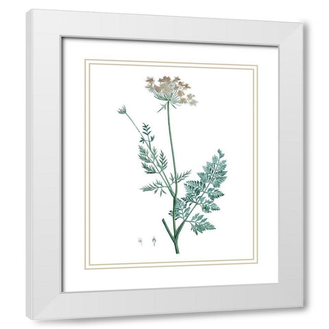 Soft Green Botanical V White Modern Wood Framed Art Print with Double Matting by Vision Studio