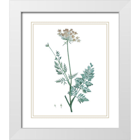 Soft Green Botanical V White Modern Wood Framed Art Print with Double Matting by Vision Studio