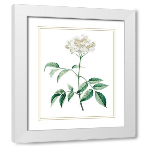 Soft Green Botanical VI White Modern Wood Framed Art Print with Double Matting by Vision Studio