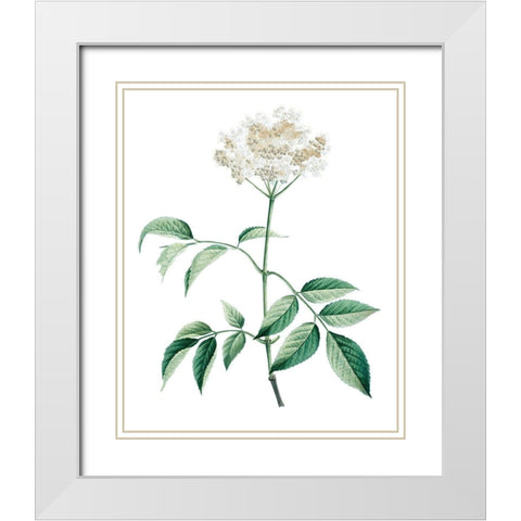 Soft Green Botanical VI White Modern Wood Framed Art Print with Double Matting by Vision Studio
