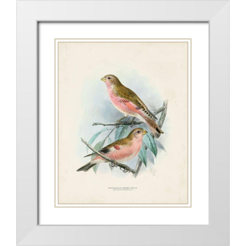 Antique Birds IV White Modern Wood Framed Art Print with Double Matting by Unknown