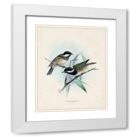 Antique Birds VII White Modern Wood Framed Art Print with Double Matting by Unknown