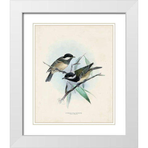 Antique Birds VII White Modern Wood Framed Art Print with Double Matting by Unknown